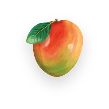 mango fruit