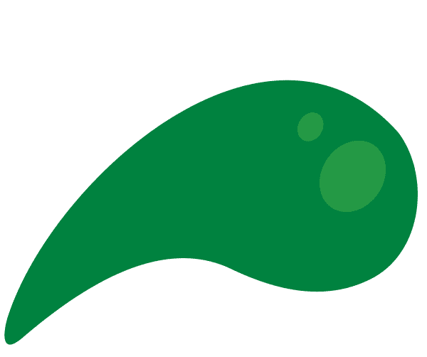 A simple green abstract shape with a teardrop form and two circular spots near the wider end, on a plain light background.