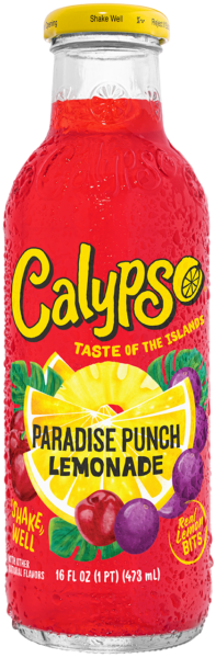 Calypso Paradise Punch Lemonade 16oz bottle