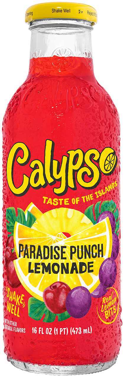 Calypso Paradise Punch Lemonade 16oz bottle