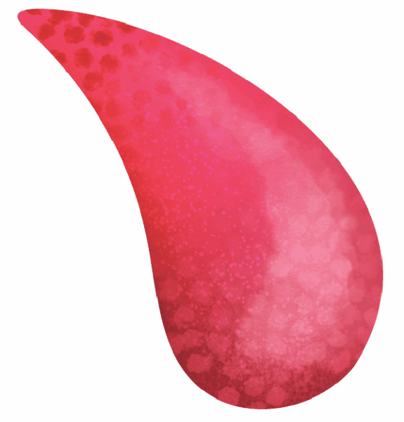 A single, curved, red and pink teardrop shape with a textured, gradient pattern on a light gray background.