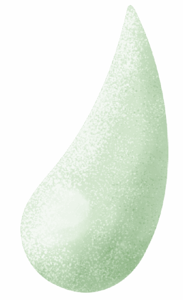 A single, light green, teardrop-shaped object with a textured, speckled surface on a white background.
