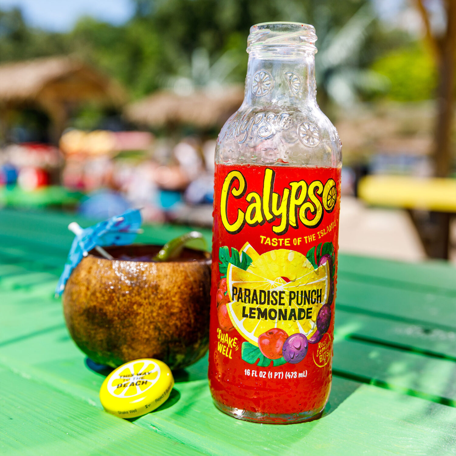 A bottle of Calypso Paradise Punch Lemonade sits on a picnic table next to a coconut.