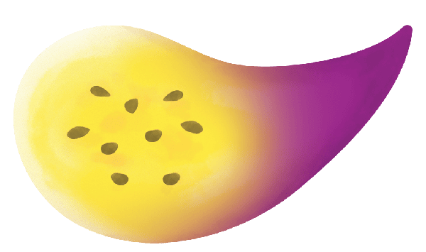 Illustration of an abstract fruit with a yellow center, black seeds, and a gradient purple tip.