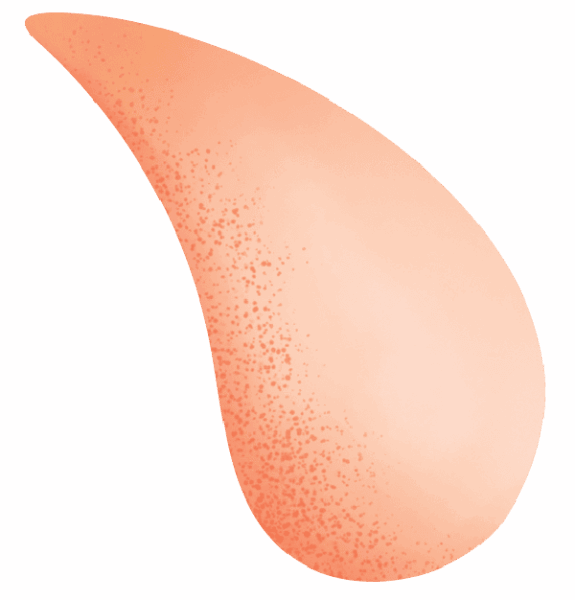 A single, smooth, peach-colored teardrop shape with a slight gradient and some speckled texture on one side.